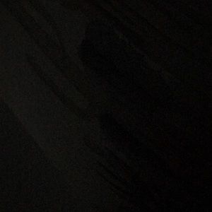 Meet your Posher, Joey